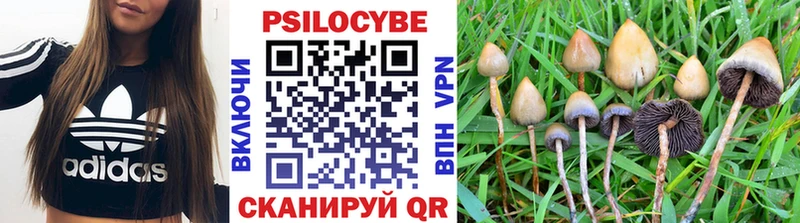 ссылка на мегу   Покровск  Галлюциногенные грибы Psilocybine cubensis  купить  сайты 
